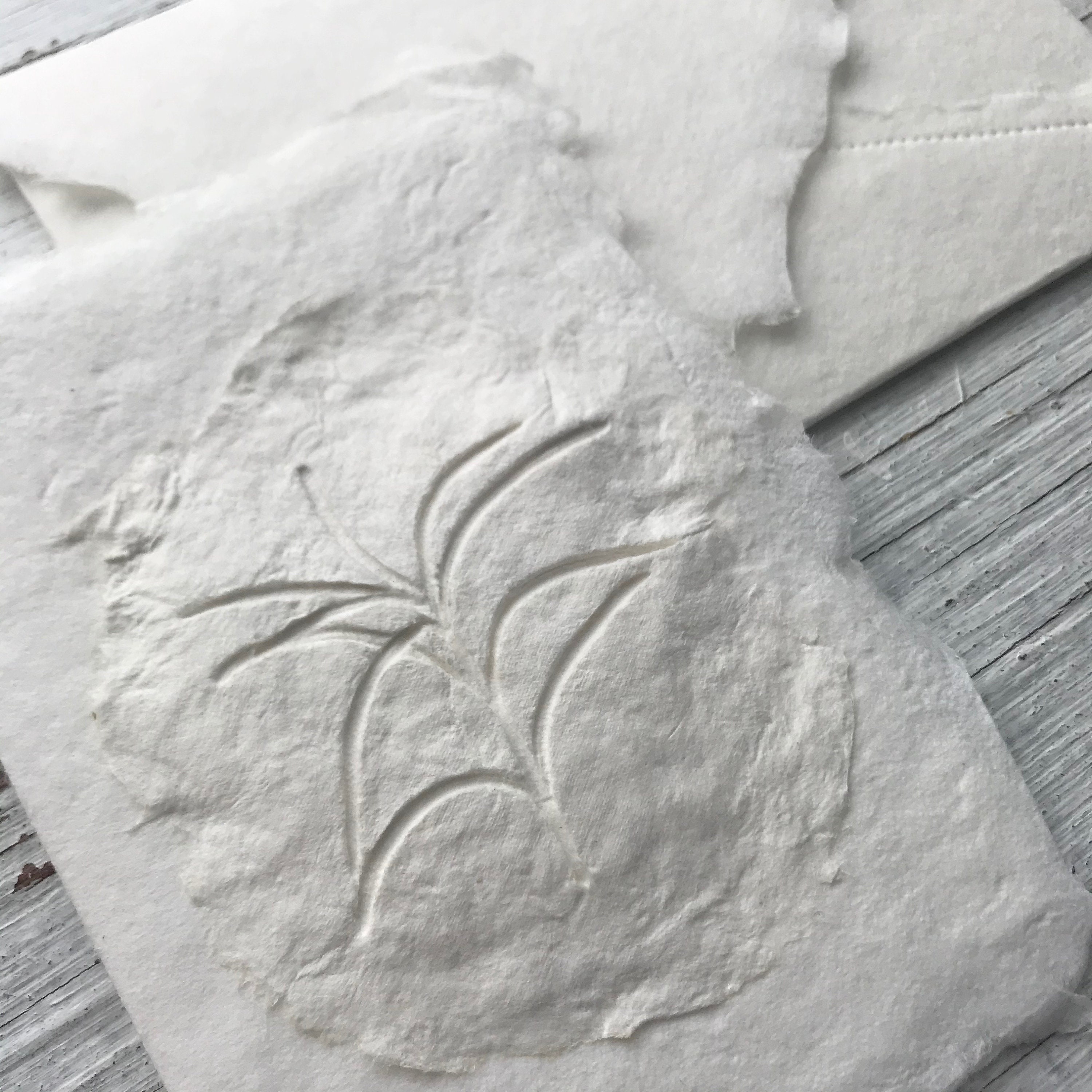 Seeing at the speed of sound questions and answers picture