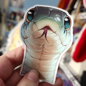 May include: A sticker of a snake with a light blue and green body, a dark grey head, and large, round, blue eyes. The snake's tongue is sticking out.