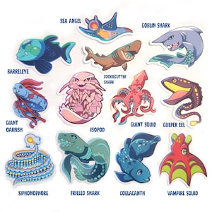 NUOVI DESIGN! Adesivi con creature degli abissi marini: anguilla inghiottitrice, calamaro vampiro e calamaro gigante, tagliabiscotti, sifonoforo, squalo goblin, squalo barile immagine 1