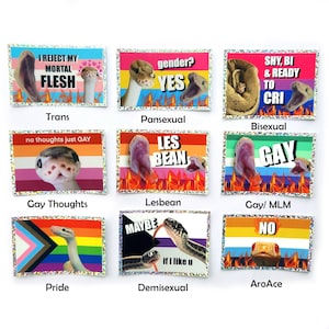 Pride Ball Python Snake Sticker & Lesbian Sticker