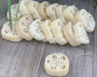LOT of 50 - Eco Friendly , Natural Sponge, Mayan Loofah, Organic Luffa, Bath Sponge Loofa, Lufa  Natural Luffa Sponge, Loofa Organic
