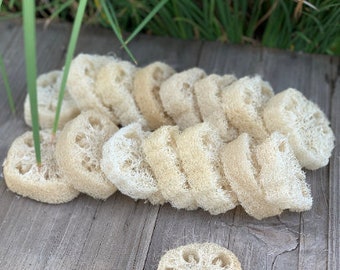 May include: A group of natural loofah sponges, stacked and arranged on a wooden surface. The sponges are light brown and have a rough texture.