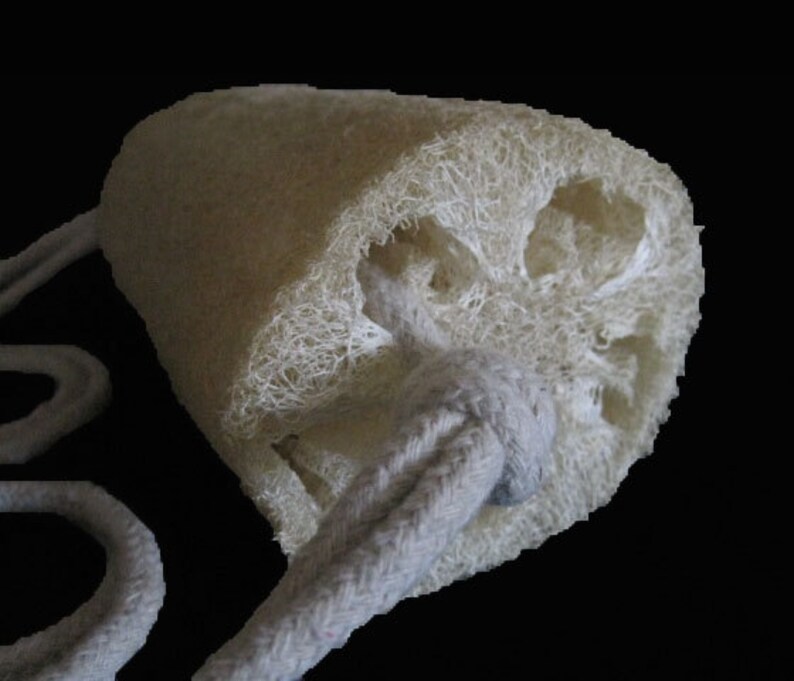 Loofah Scrub Organic Exfoliation Loofah Loofa Luffa Eco Etsy