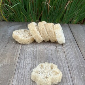 May include: A stack of six natural loofah sponges, with one additional loofah sponge shaped like a flower, on a wooden surface.