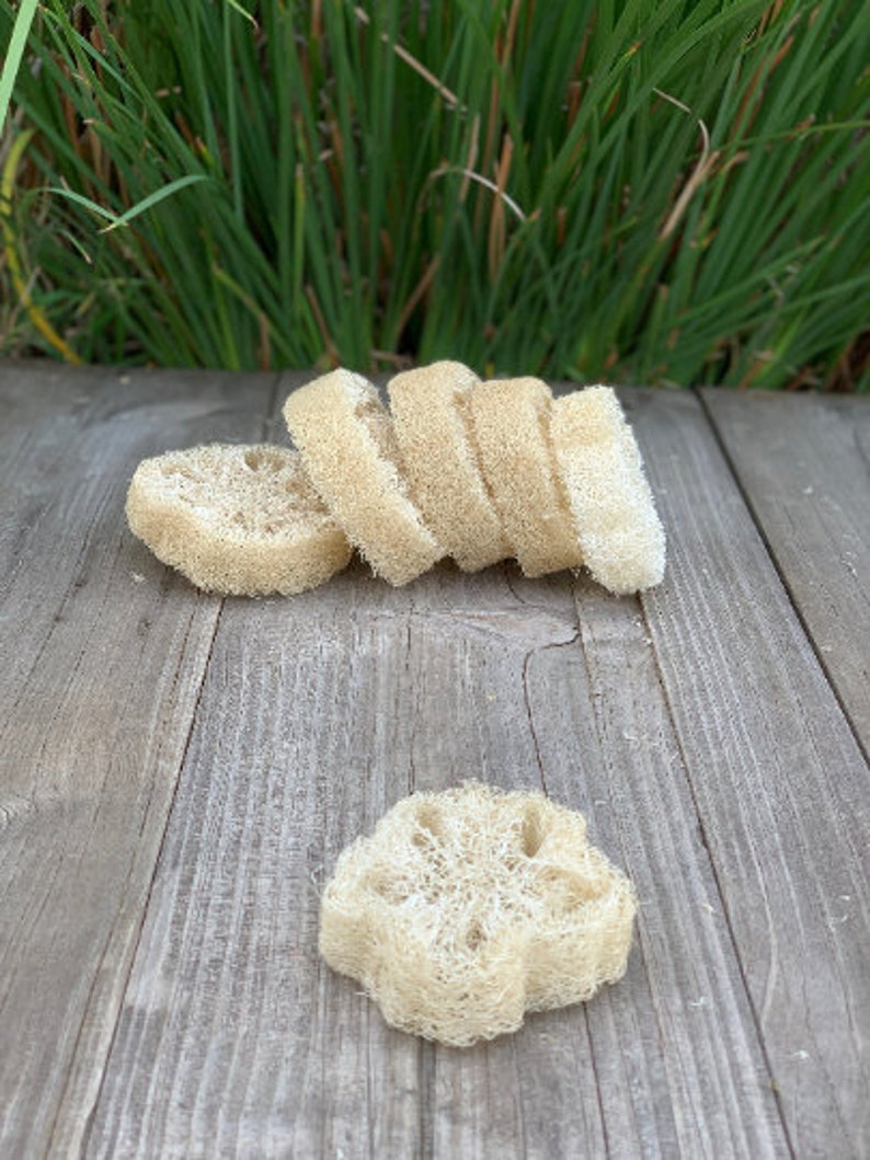 May include: A stack of six natural loofah sponges, with one additional loofah sponge shaped like a flower, on a wooden surface.
