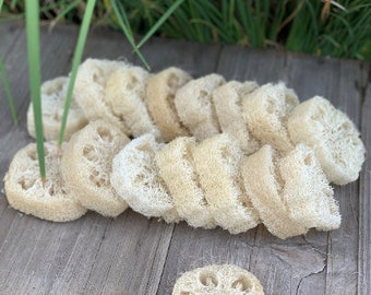 LOT of 25 - Eco Friendly, Natural Sponge, Mayan Loofah, Organic Luffa, Bath Sponge Loofa, Lufa, Loofah