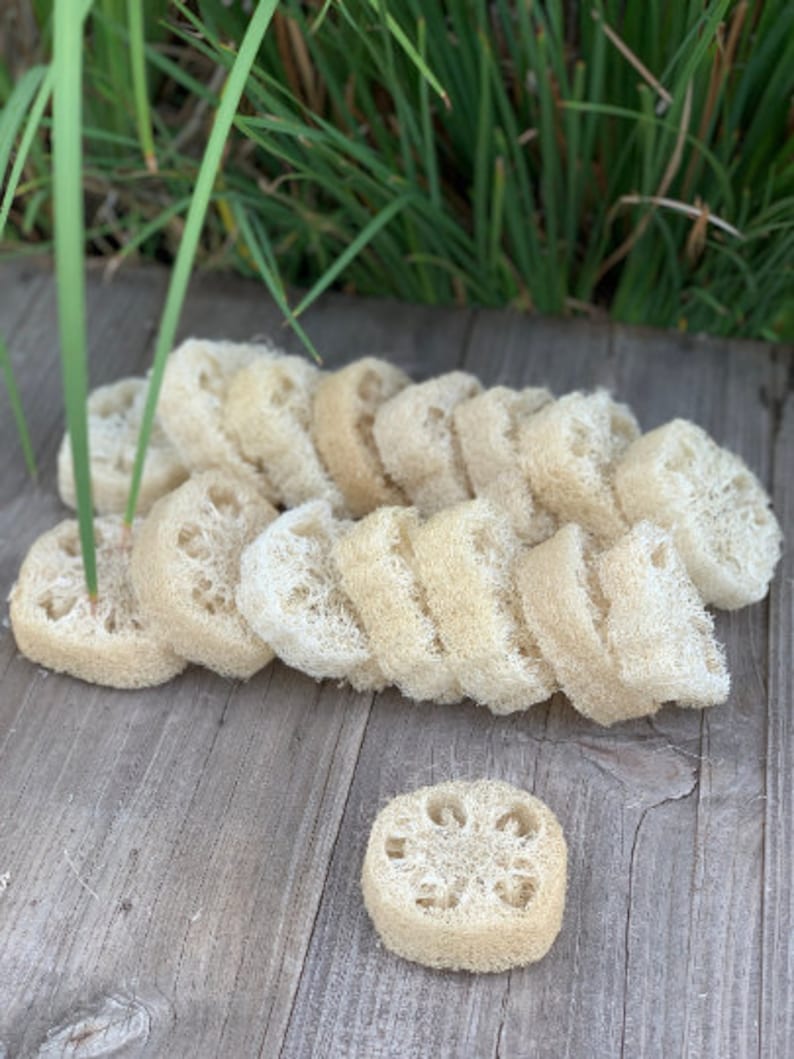 May include: A pile of natural loofah sponges, also known as luffa, in a light beige color. The sponges are stacked on top of each other on a wooden surface.