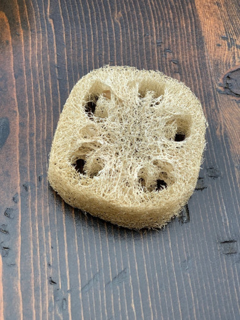 May include: A natural loofah sponge with a light brown color and a textured surface. The loofah has a circular shape with several holes in the center.
