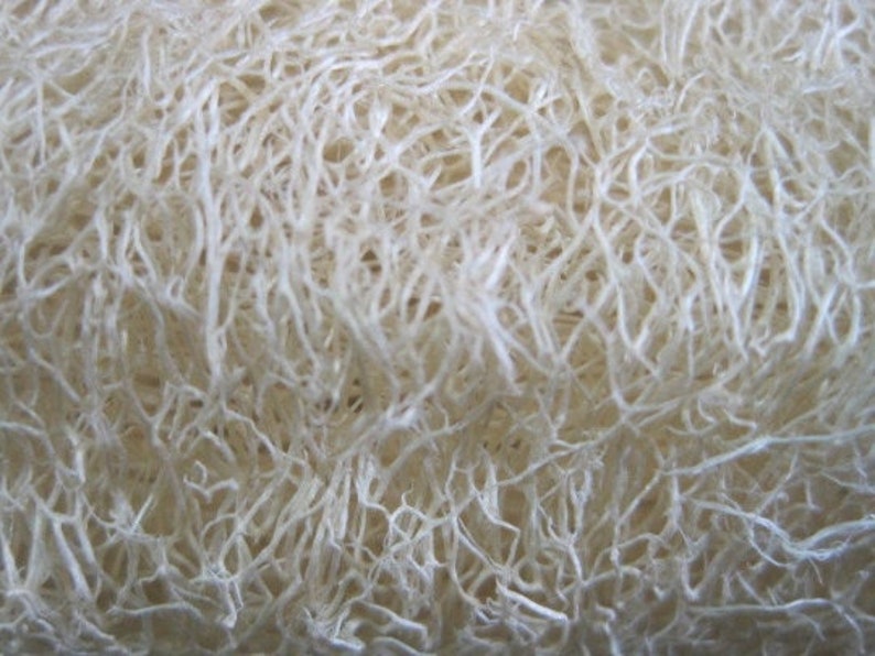 May include: Close-up of a natural loofah sponge, showing its intricate, fibrous texture. The loofah is off-white in color and appears dry.