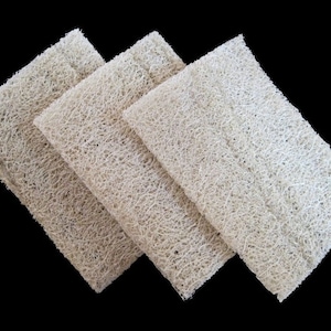 LOT of 5, 10 & 20 - Loofah, Loofa, Luffa, Eco, Organic, Natural Sponge, Dish Sponge, Mayan Loofah, Lufa Sponge, Organic Luffa, Organic Loofa
