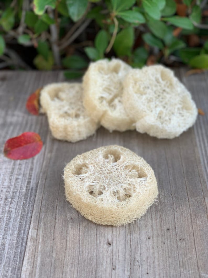 May include: Four natural loofah sponges, beige in color, are stacked on a wooden surface. The loofah sponges are made from dried gourds and have a textured, porous surface.