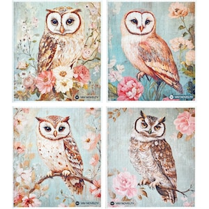 12-Pack German Swedish Dishcloths: Ultra-Absorbent, Eco-Friendly Cleaning Sponge Cloth, Paper Towel Alternative, Vintage Owl - FREE SHIPPING