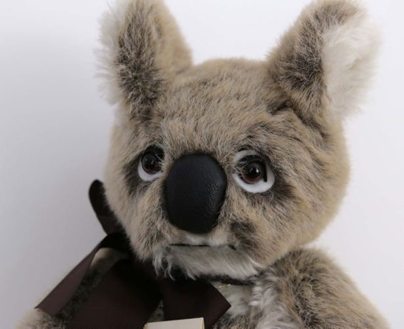 koala teddy