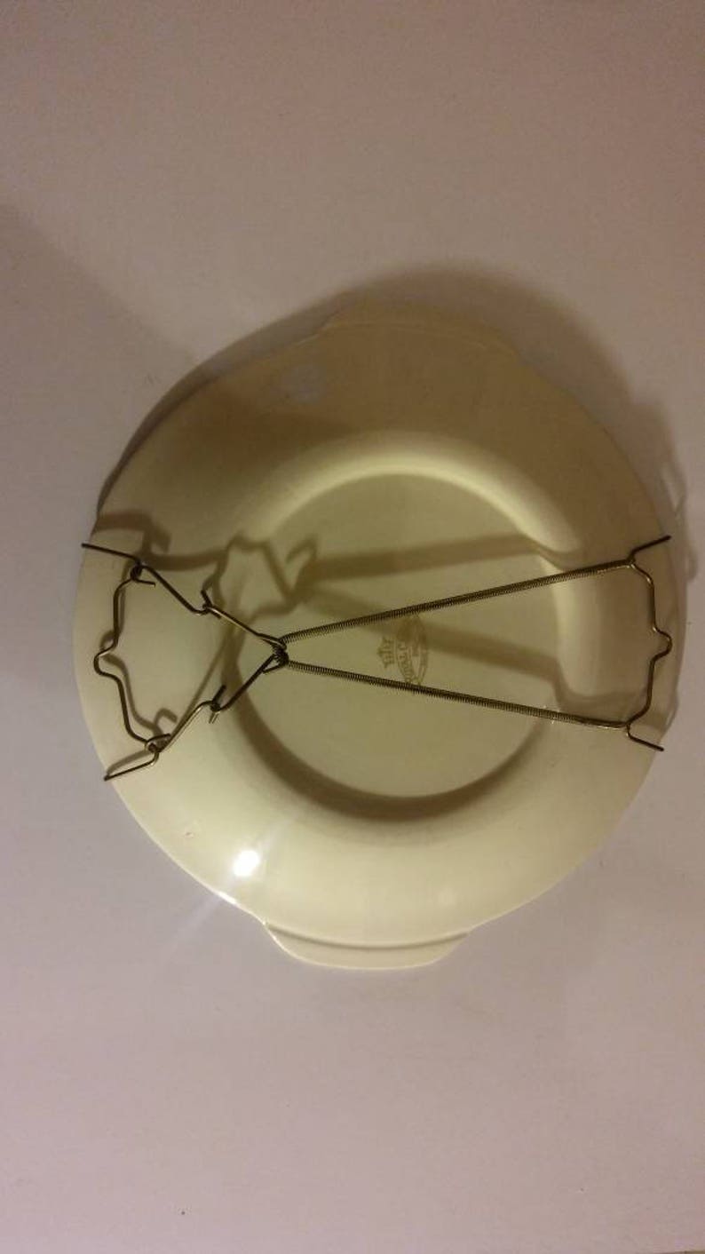 Tea Rose by Royal China Plate USA 1950/'s.
