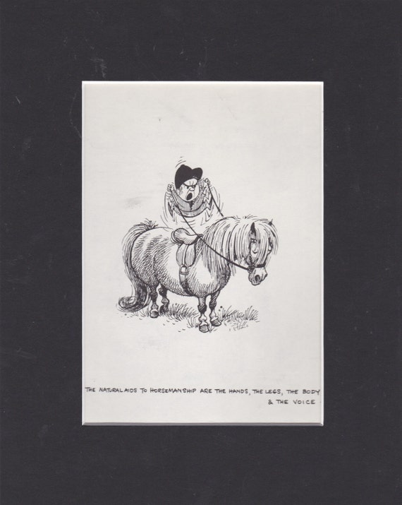 Humorous 1963 Vintage Original Norman Thelwell Pony Cartoon Etsy