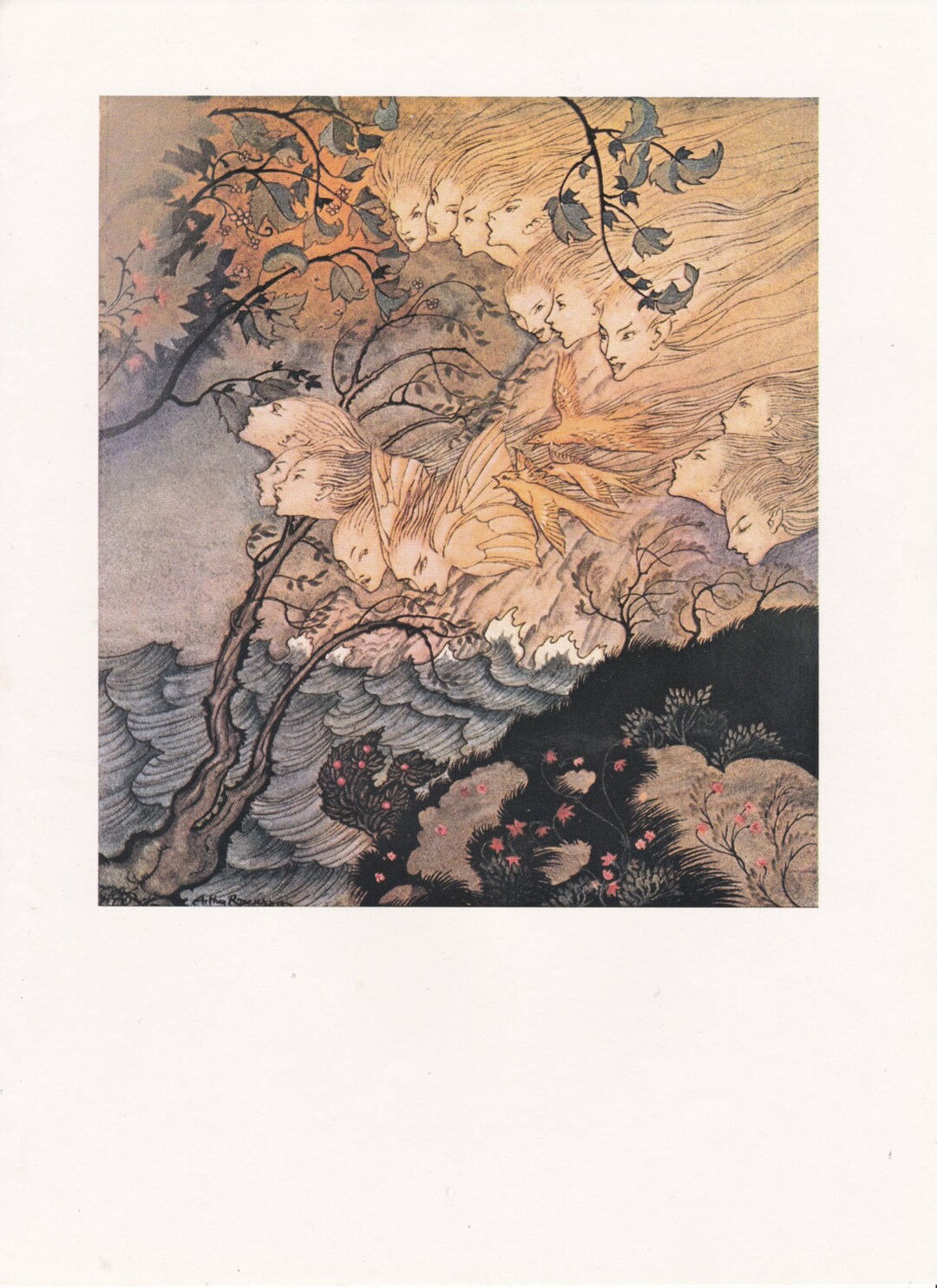 Arthur Rackham Original Vintage Art Print. Perfect for Nursery or ...