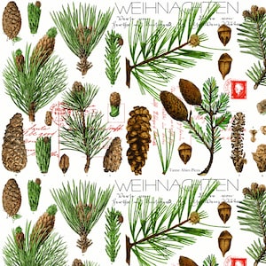 Christmas Botanical Fabric: J. Wecker Frisch Pines, Riley Blake 100% Cotton