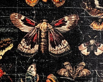 Tim Holtz Eclectic Elements Halloween Moth Study
