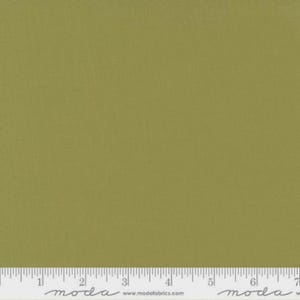 May include: A solid green fabric swatch with a subtle texture. The fabric is shown with a ruler for scale.
