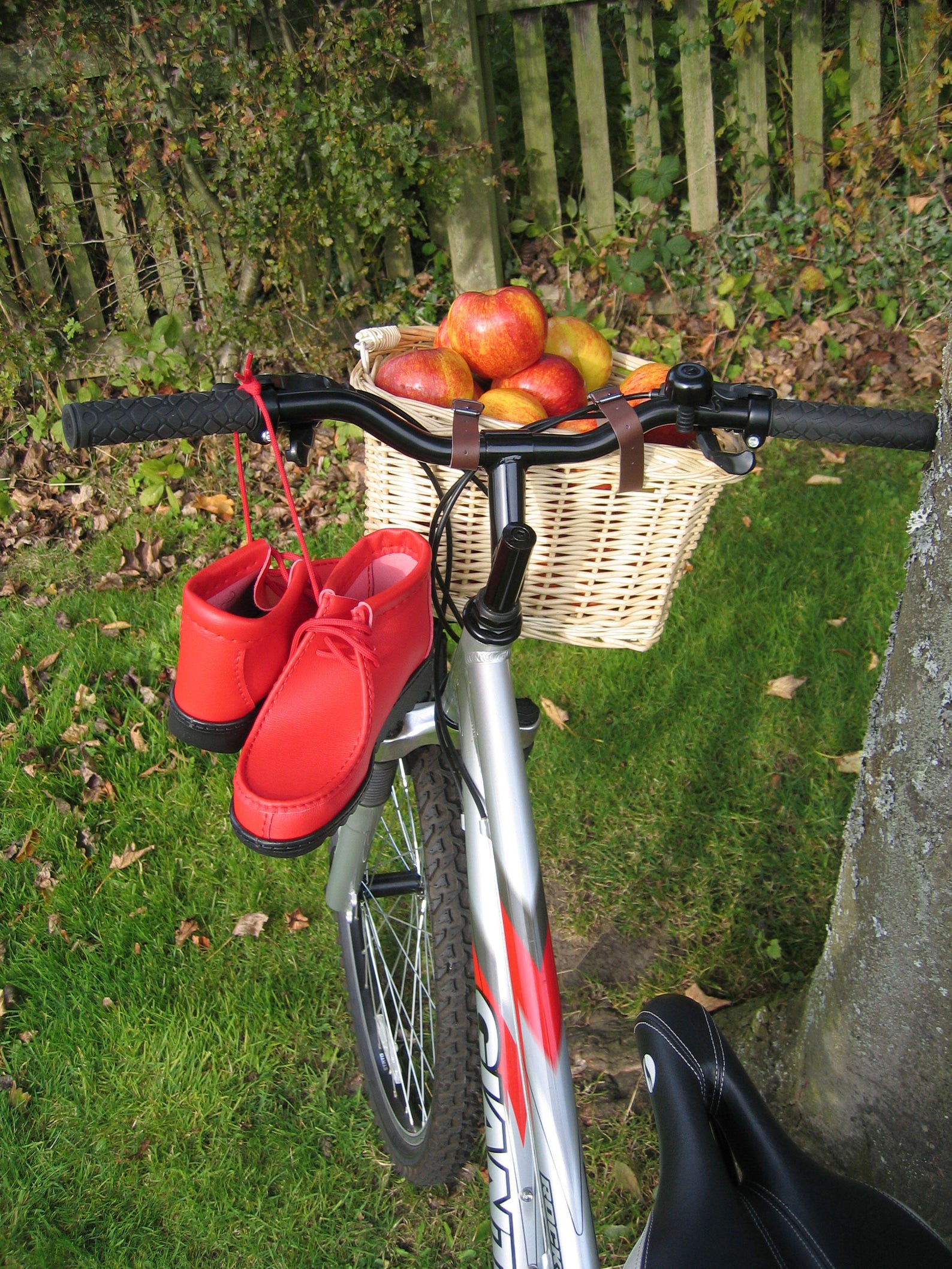 vegan 1460 ankle boots