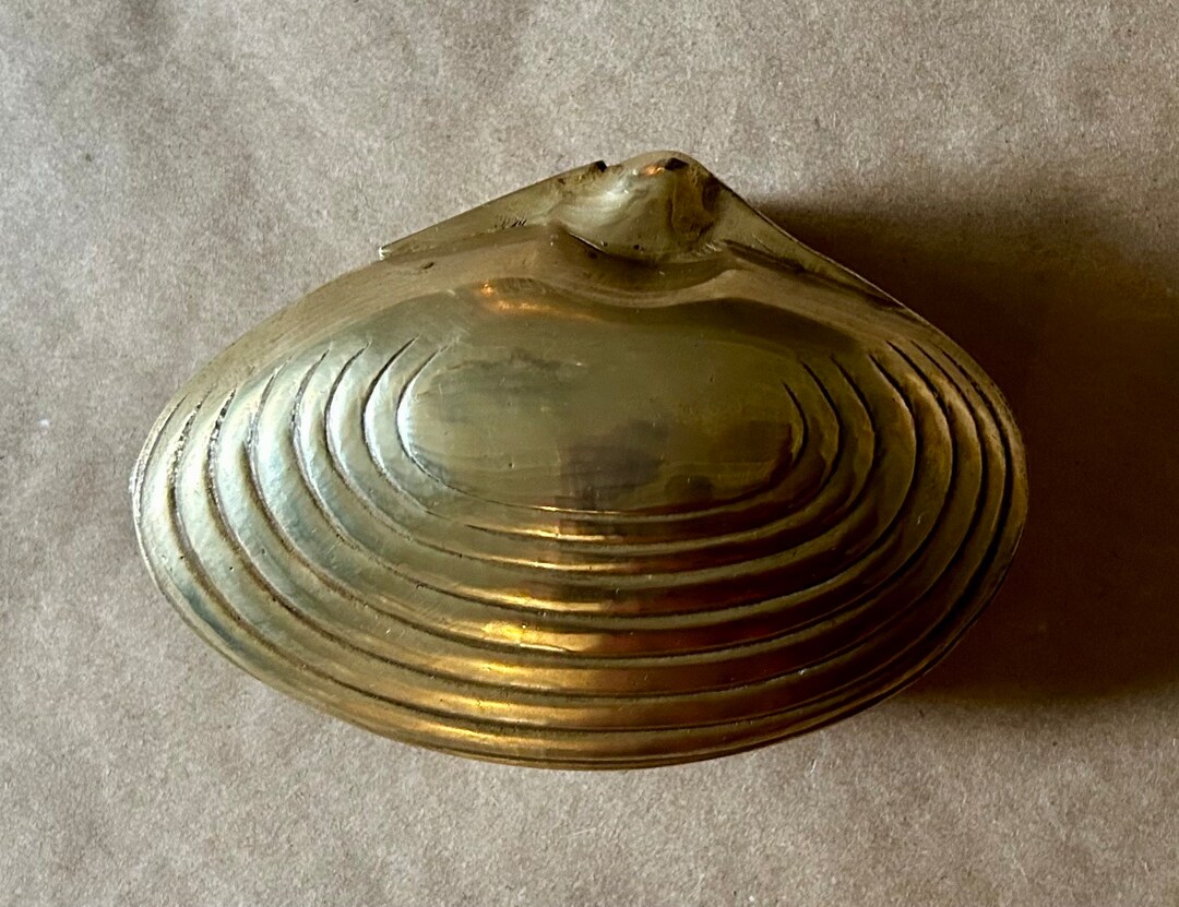 The Brass Clam Shell Trinket Box Etsy