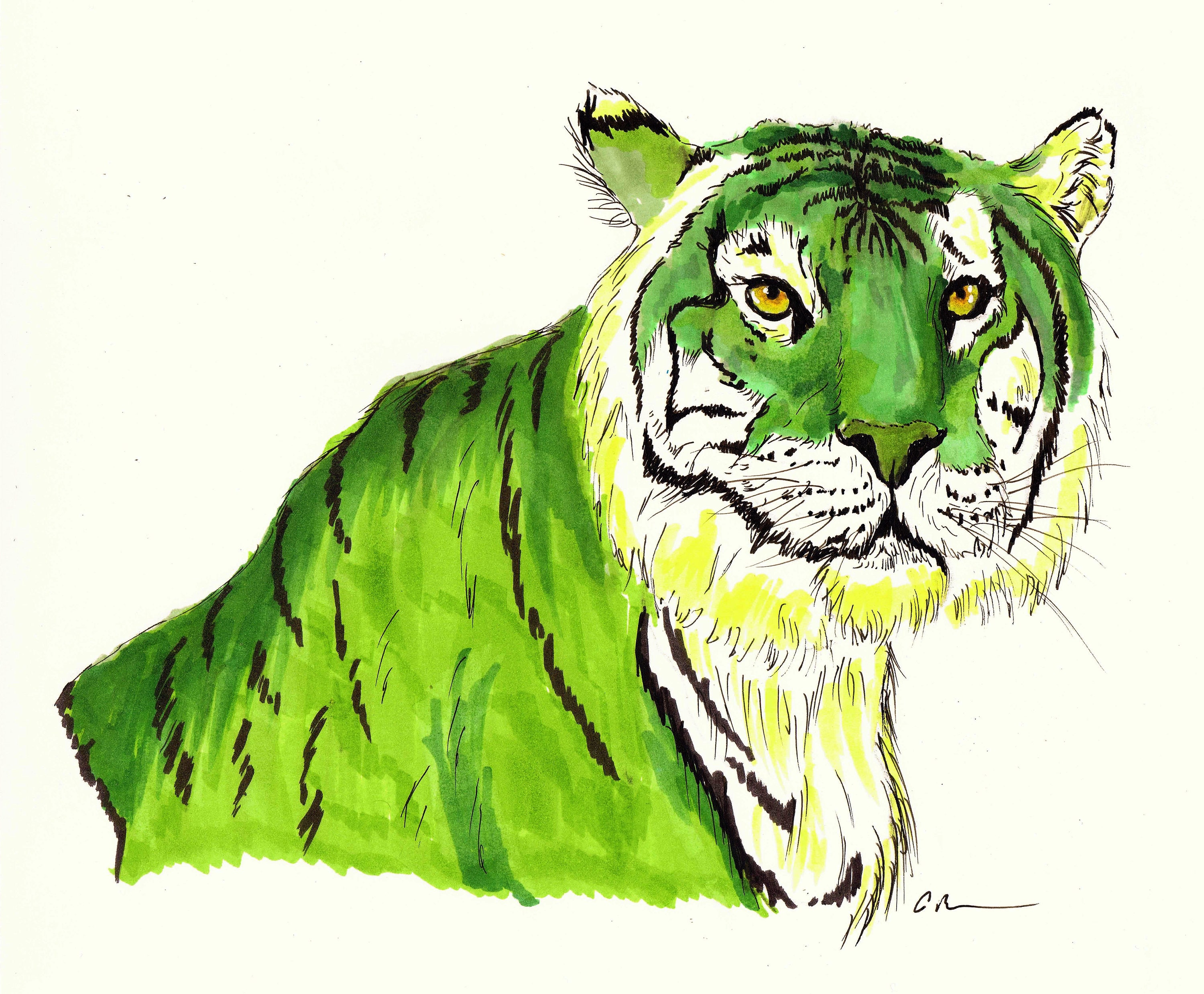 9x12 Original Marker Drawing of Colorful Tiger Etsy