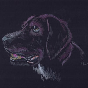 9x12" Original Color Lápiz Perro Dibujo