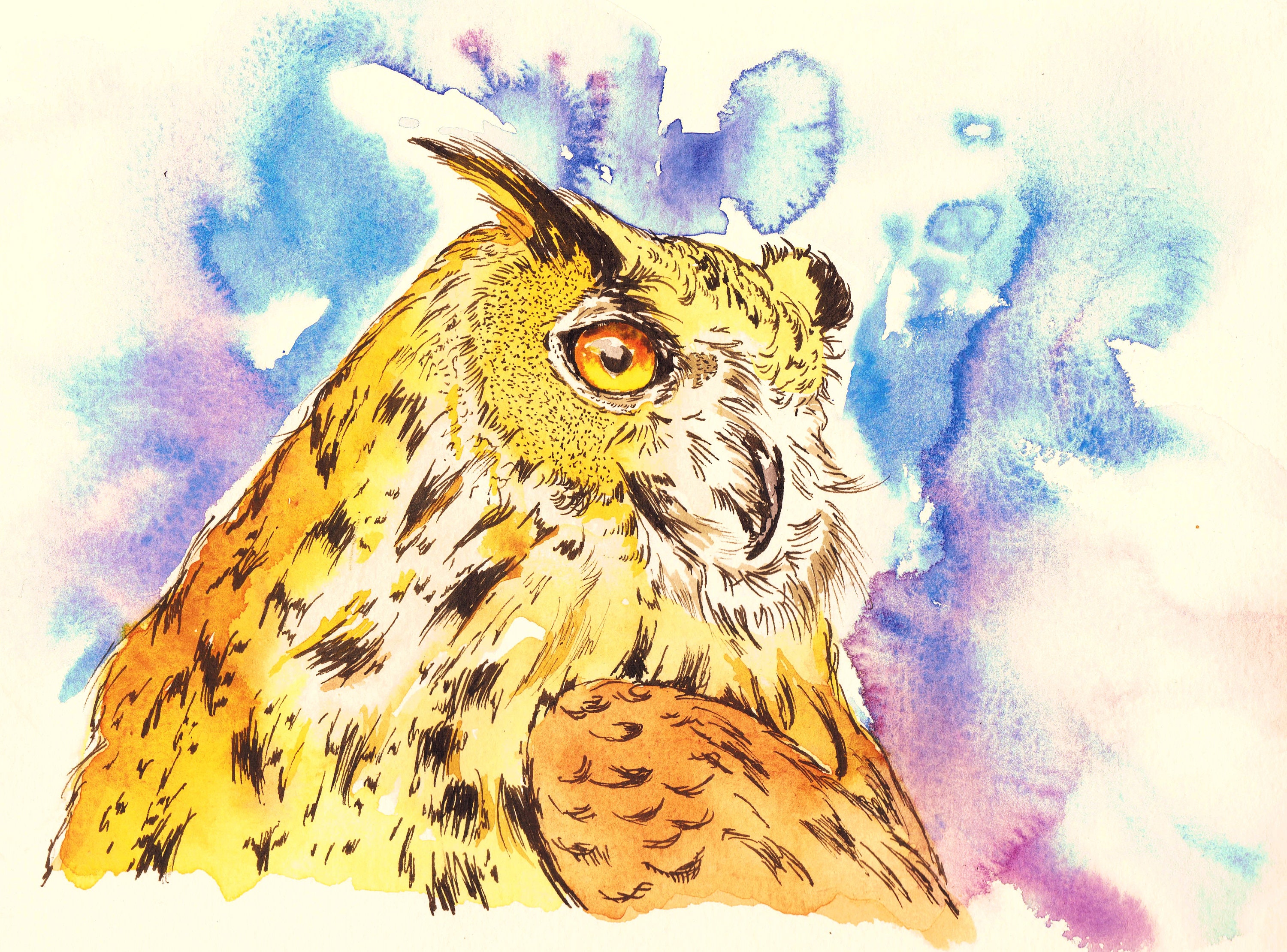 Eurasian Eagle Owl Ink & Watercolor 9x12"
