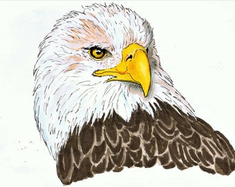 9x12" Original Bald Eagle Marker Dessin