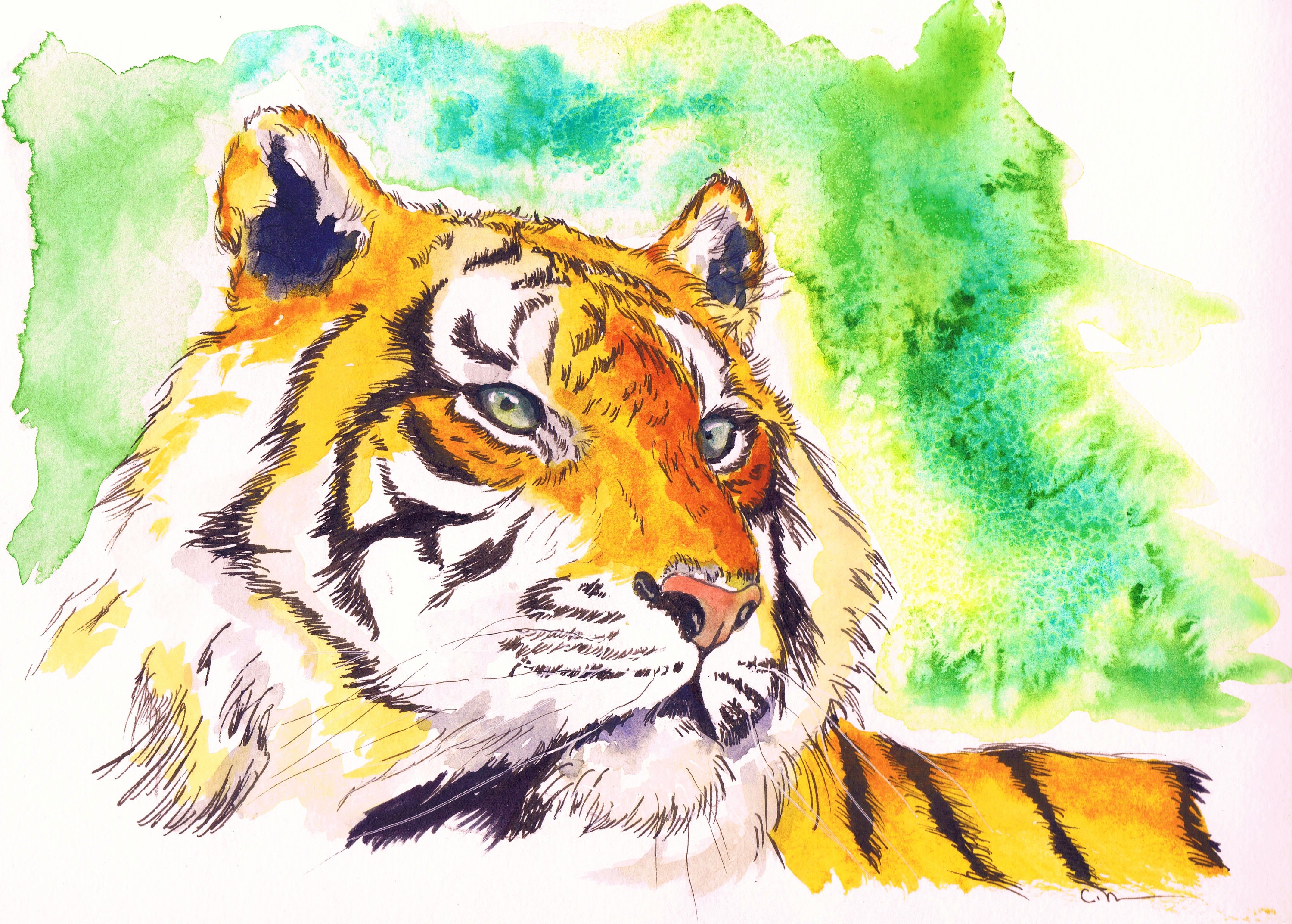 Ink and Watercolor Tiger Painting | Etsy