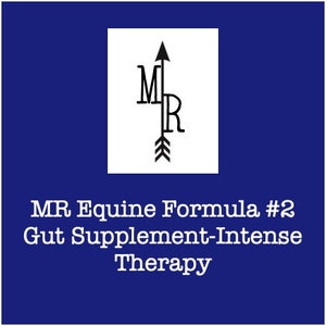 Equine Gut Supplement INTENSE MR Equine Formula #2 Intense Gut Therapy Supplement equine therapy equine nutrition horse health