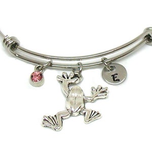Silver Frog Bracelet, Silver Frog Bangle, Expandable Bracelet, Amphibian Bracelet, Amphibian Bangle Gift, Amphibian Charm, Frog Jewelry Gift