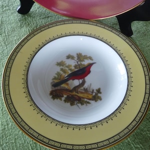 Ancienne Manufacture Royale De Limoges - Etsy