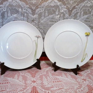 Puede incluir: Dos platos de cena de cerámica blanca con diseños florales. Un plato presenta una flor amarilla con tallos y hojas verdes. El otro plato presenta una flor rosa con tallos y hojas verdes.