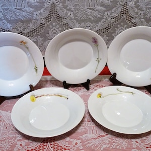 Milan designer Enzo Mari - KPM Berlin, Germany 'BERLIN PIANTA' Decor 46 - Choice of  Deep Low Plate(s) Wild Flower design