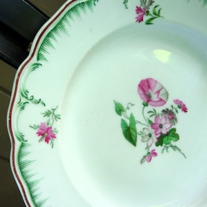 May include: A white porcelain plate with a green and red rim. The plate features a floral design with pink and white flowers and green leaves.