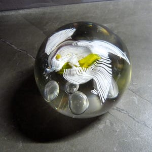 MURANO Italy Glass Art - Fratelli Toso,  Simone Cenedese Or Barbini Murano Fish Paperweight Glass Aquarium