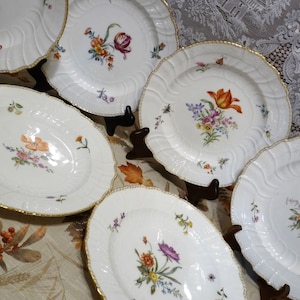 KPM Berlin Neuosier form Hand-Painted Botanical Dresden FLOWERS - CHOICE: 9.75&quot; Deep Luncheon Plate(s) / Soup Plate(s) w/ Assorted Flowers