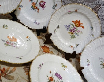 KPM Berlin Neuosier form Hand-Painted Botanical Dresden FLOWERS - LOT 8 : 9.75&quot; Deep Luncheon Plates / Soup Plates w/ Assorted Flowers
