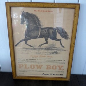 ジェームズ・ホワイトサイズ著『良血馬』プラウボーイ　若きプラウボーイ（名馬アイリッシュ・グレイの最高の息子）　額装・ガラス入り　淡黄色ポスター