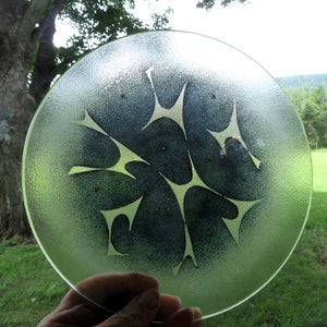 May include: A clear, round glass plate with a textured surface. The plate features a repeating pattern of stylized, light green shapes. The background shows a blurred outdoor scene with a tree and greenery.