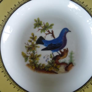 Ancienne Manufacture Royale De Limoges - Etsy