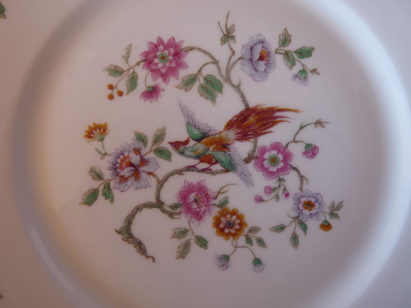Wm. Guerin & Co Limoges France Bird of Paradise GUE65 Etsy