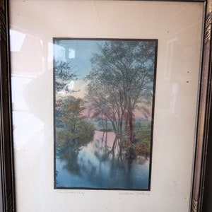 Photographie coloriée à la main Wallace Nutting « In Tender Leaf » - Signée et titrée