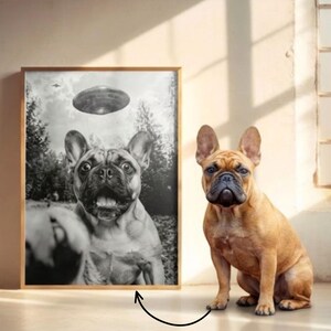 May include: A framed black and white print of a French Bulldog looking up at a UFO. A real French Bulldog sits next to the framed print. The dog is brown with a black muzzle and is sitting upright.