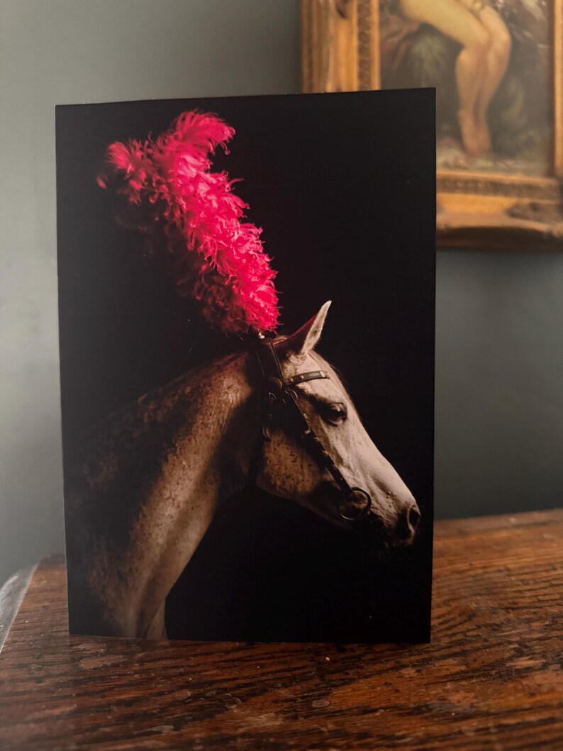 Circus Horse Greeting Card • Pink Feathered Pony, Surreal Equestrian ...