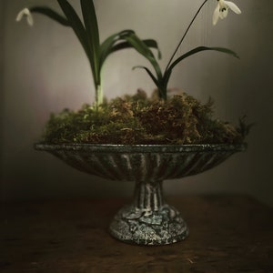 Vintage Pedestal Bowl Cast Iron | Still Life photography, Table Decor or Flower Arrangement