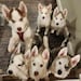 Owner of <a href='https://www.etsy.com/shop/Xiao1977?ref=l2-about-shopname&from_page=listing' class='wt-text-link'>Xiao1977</a>