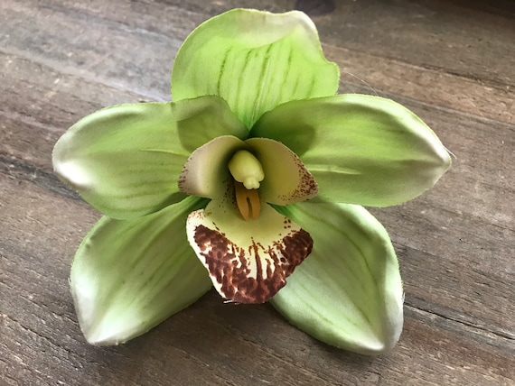Light Green Orchid Flower Hair Clip Tropical Flower Hair - Etsy Australia Light Green Orchid Flower Hair Clip Tropical Flower Hair - Etsy Australia