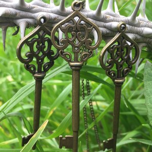 May include: Three ornate gold-toned skeleton keys with intricate designs hang from a thorny branch. The keys are suspended against a backdrop of green grass.